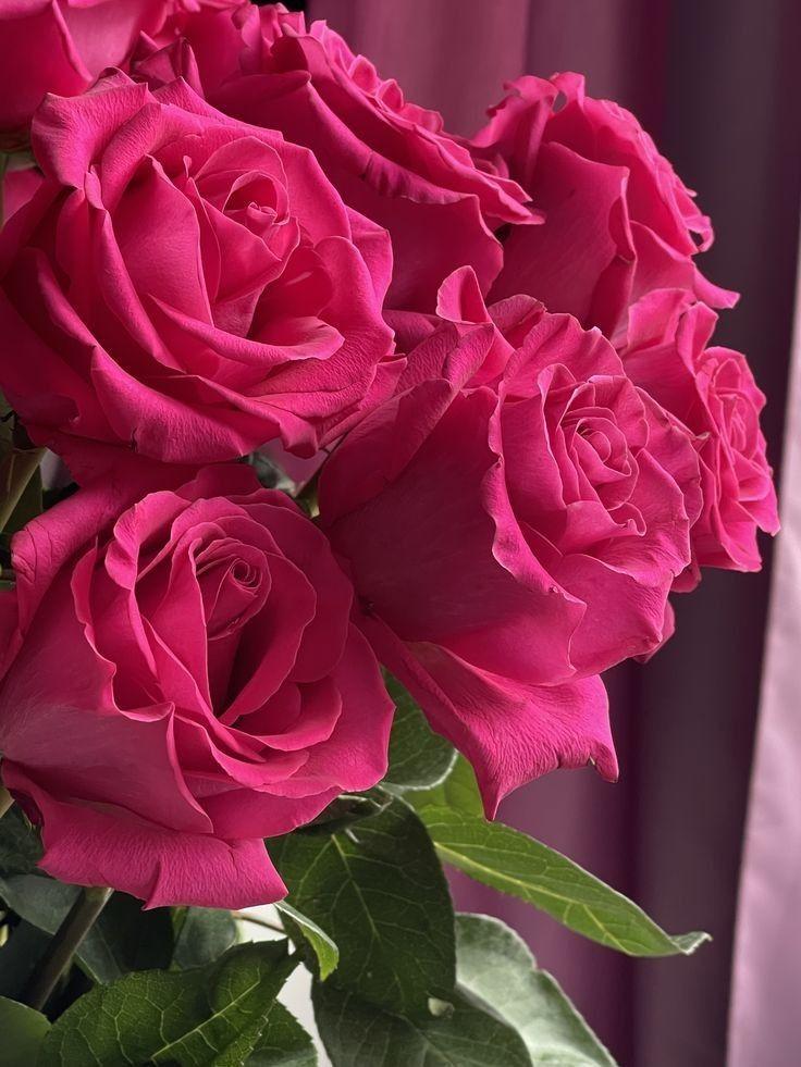 BalancedOriginPath workshop space where corporate flower arrangements are designed and prepared for business delivery